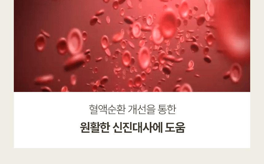 HR-KSS_04.gif